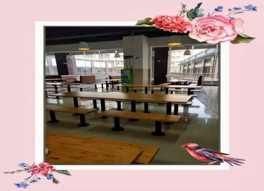 1535121187320077042.jpg 1535121187320077042.jpg