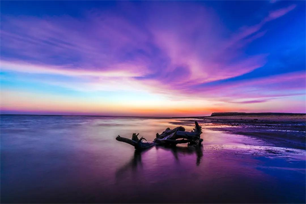 1614569679537007120.png 图片7.png