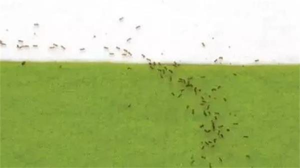 1616982048155056858.jpg 微信图片_20210329091911.jpg