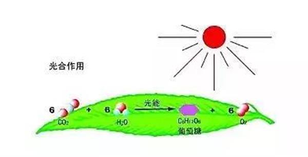 微信图片_20210118181929.jpg